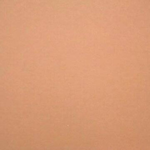 Rasacal Stucco de Chaux Couleur Standard MT186