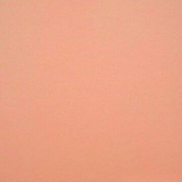 Rasacal Stucco de Chaux Couleur Standard MT196