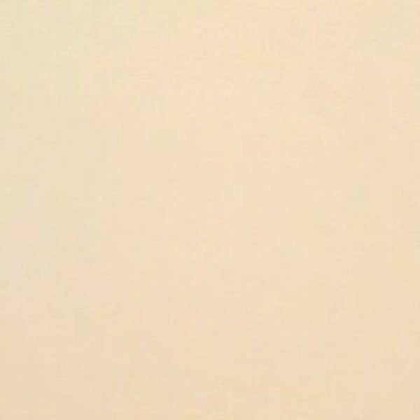 Rasacal Stucco de Chaux Couleur Standard MT201