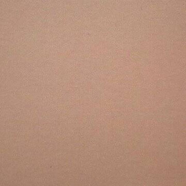 Rasacal Stucco de Chaux Couleur Standard MT231