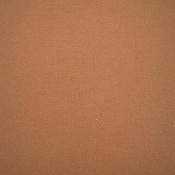 Rasacal Stucco de Chaux Couleur Spéciale MT241**