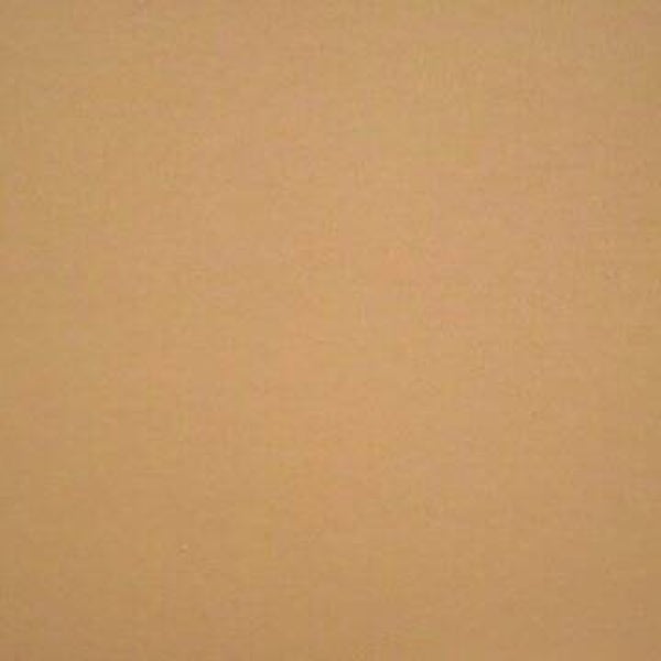 Rasacal Stucco de Chaux Couleur Standard MT246