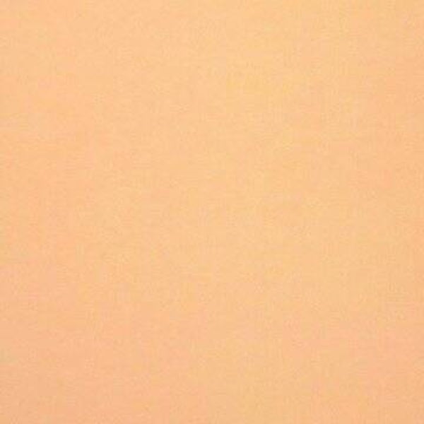Rasacal Stucco de Chaux Couleur Standard MT261