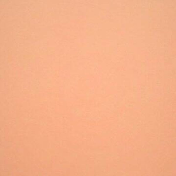 Rasacal Stucco de Chaux Couleur Standard MT266