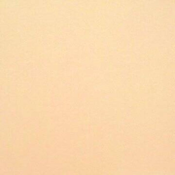 Rasacal Stucco de Chaux Couleur Standard MT291