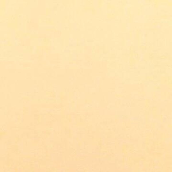 Rasacal Stucco de Chaux Couleur Standard MT306