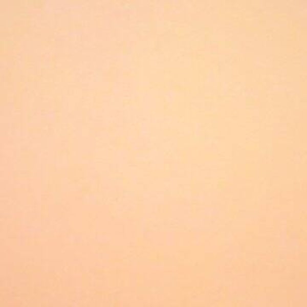 Rasacal Stucco de Chaux Couleur Standard MT316