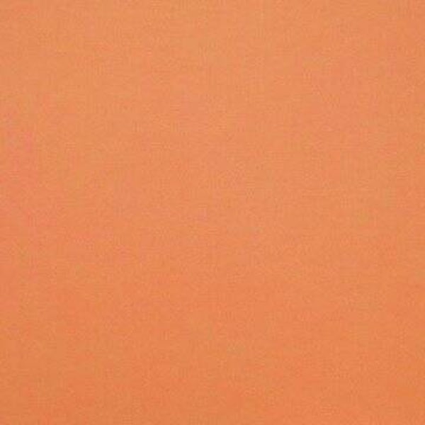Rasacal Stucco de Chaux Couleur Spéciale MT321**
