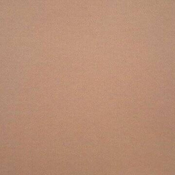 Rasacal Stucco de Chaux Couleur Spéciale MT326**