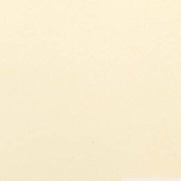 Rasacal Stucco de Chaux Couleur Standard MT356