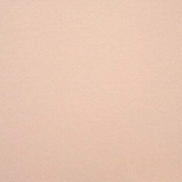 Rasacal Stucco de Chaux Couleur Standard MT361