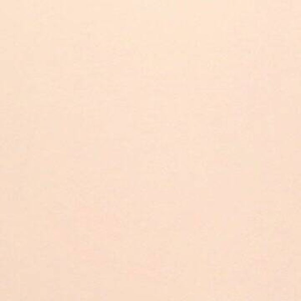 Rasacal Stucco de Chaux Couleur Standard MT381