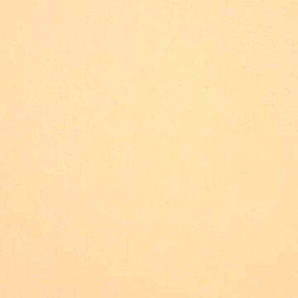 Rasacal Stucco de Chaux Couleur Standard MT391