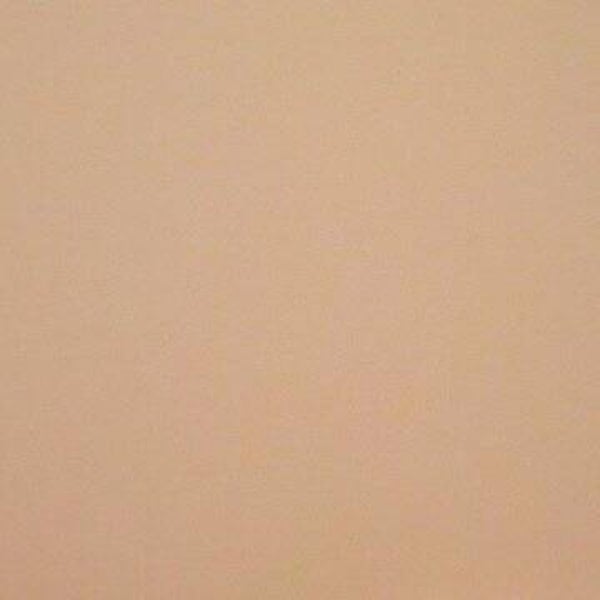 Rasacal Stucco de Chaux Couleur Standard MT446