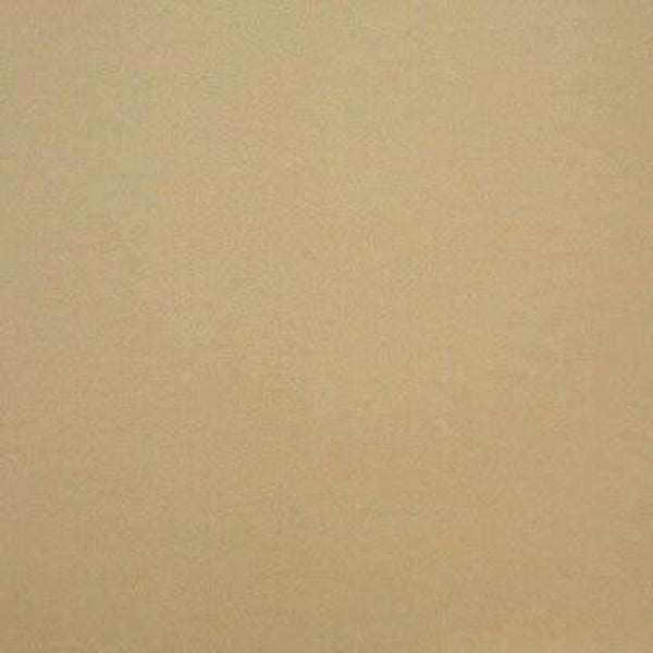 Rasacal Stucco de Chaux Couleur Standard MT451