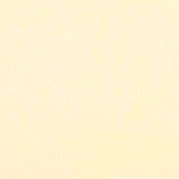 Rasacal Stucco de Chaux Couleur Standard MT461
