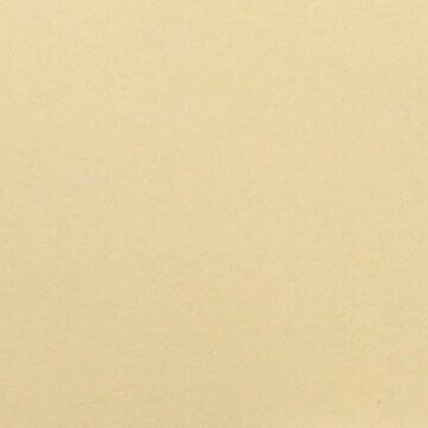 Rasacal Stucco de Chaux Couleur Standard MT466