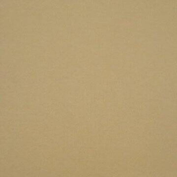 Rasacal Stucco de Chaux Couleur Standard MT471