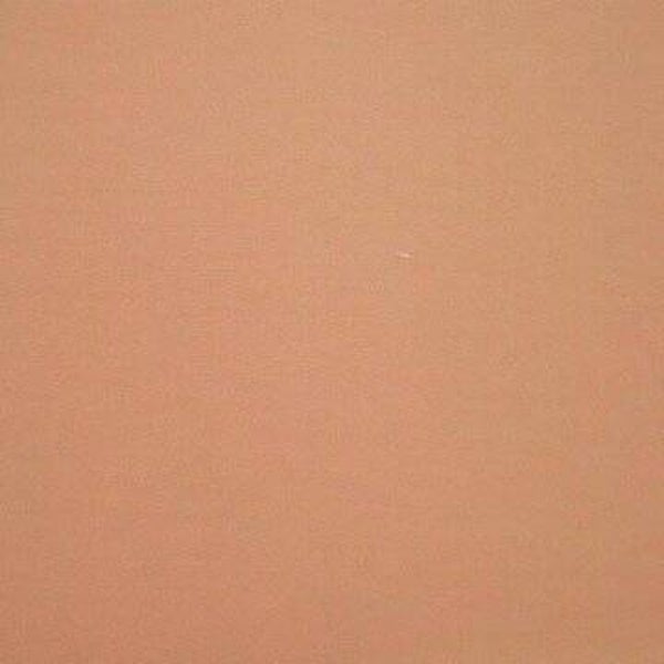 Rasacal Stucco de Chaux Couleur Standard MT476