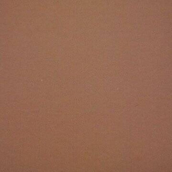 Rasacal Stucco de Chaux Couleur Spéciale MT481**