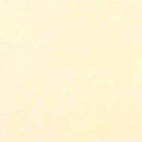 Rasacal Stucco de Chaux Couleur Standard MT556