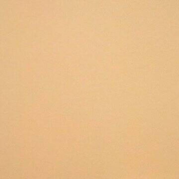 Rasacal Stucco de Chaux Couleur Standard MT561