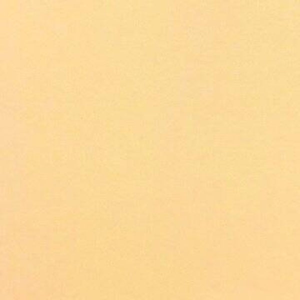 Rasacal Stucco de Chaux Couleur Standard MT566