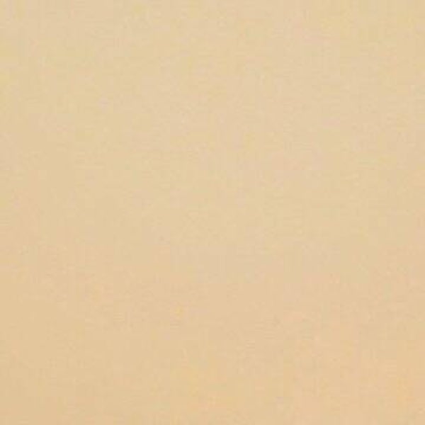 Rasacal Stucco de Chaux Couleur Standard MT571