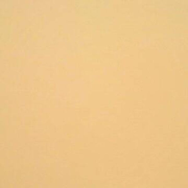 Rasacal Stucco de Chaux Couleur Standard MT581