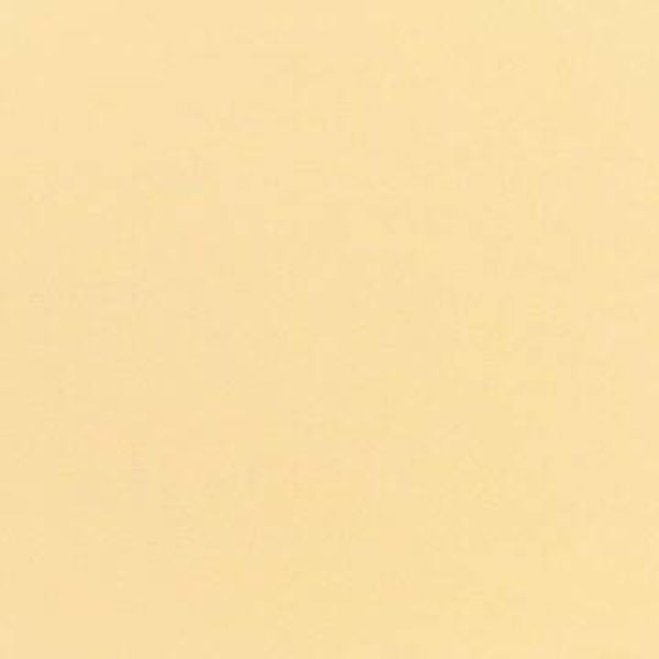 Rasacal Stucco de Chaux Couleur Standard MT596