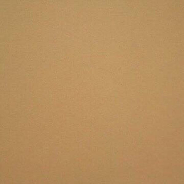 Rasacal Stucco de Chaux Couleur Spéciale MT601**