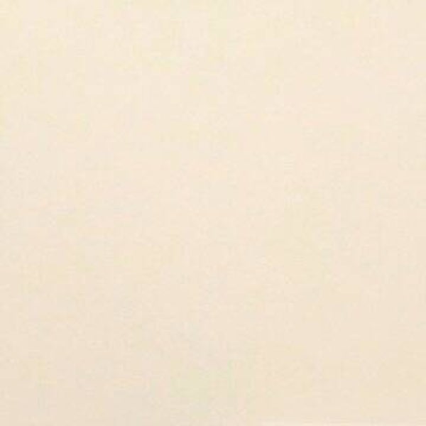 Rasacal Stucco de Chaux Couleur Standard MT611