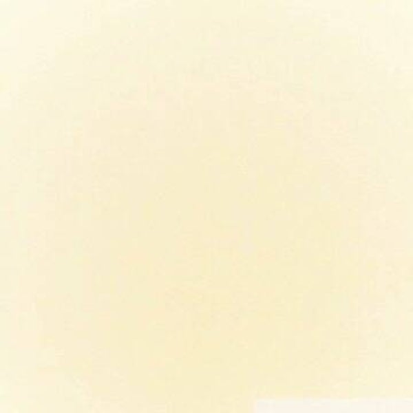 AQUACAL Badigeon de Chaux couleur standard MT 621