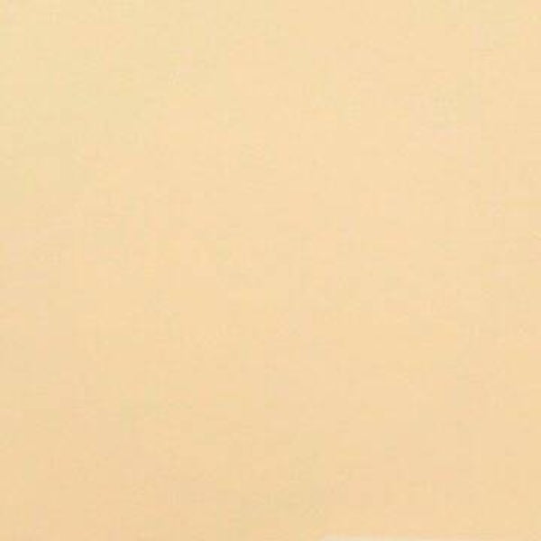 Rasacal Stucco de Chaux Couleur Standard MT626