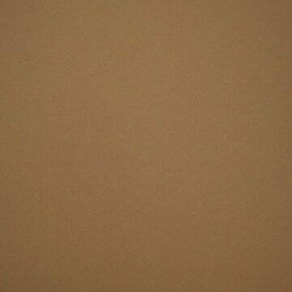 Rasacal Stucco de Chaux Couleur Spéciale MT631**