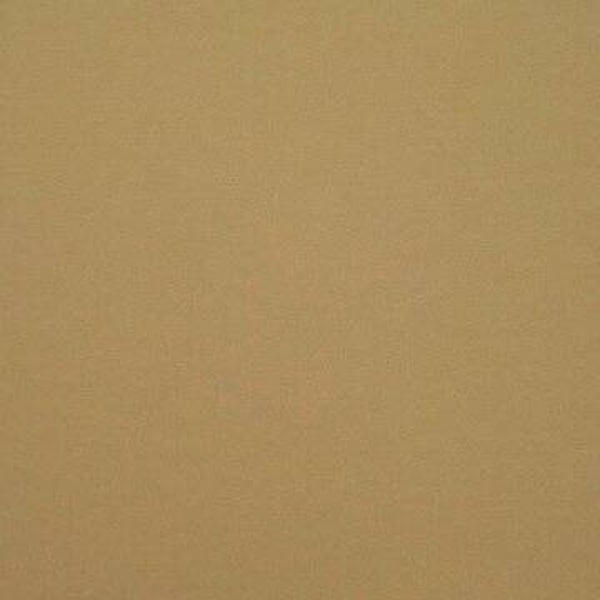Rasacal Stucco de Chaux Couleur Standard MT641