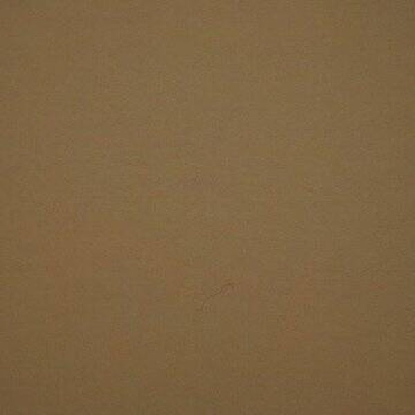 Rasacal Stucco de Chaux Couleur Spéciale MT646**