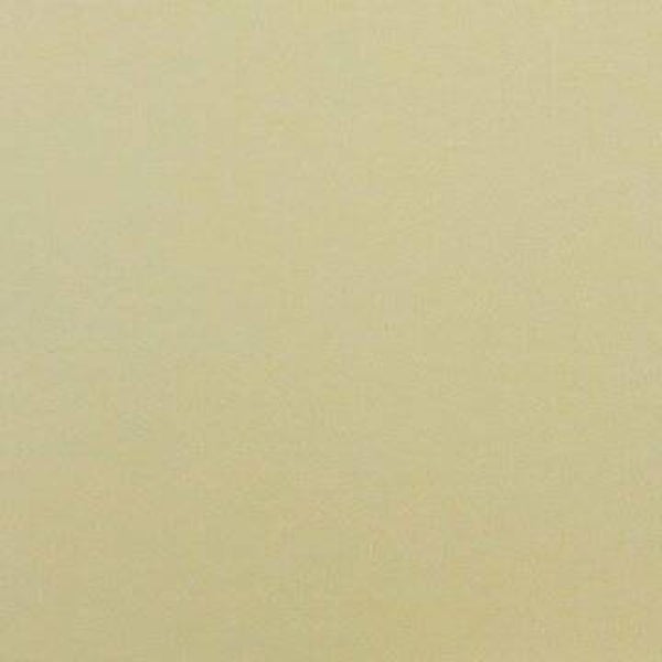Rasacal Stucco de Chaux Couleur Standard MT656