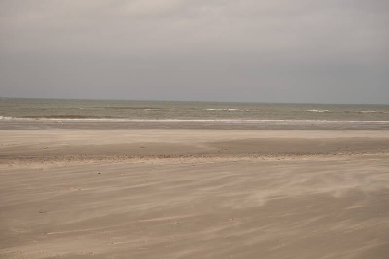 dsc_1177-standard.jpg