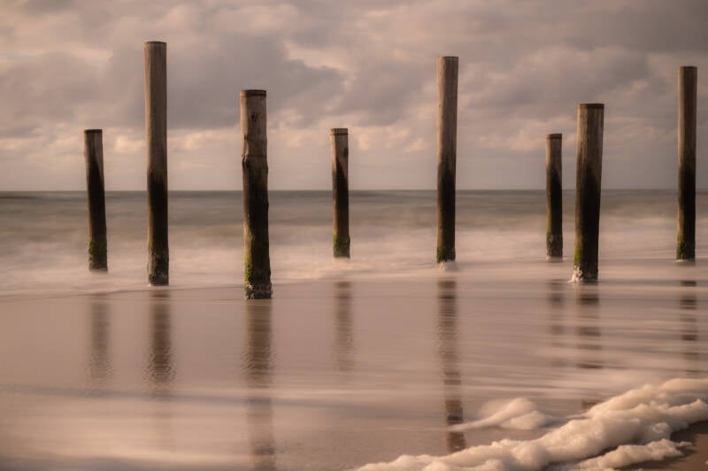 palendorp-petten-2-standard-dhze9e.jpg