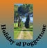 holidayalpoggettone.it