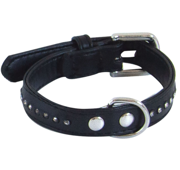 Collier chien Glamorous chien Noir 25 cm