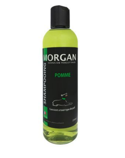 Shampoing Morgan Pomme 250 ML