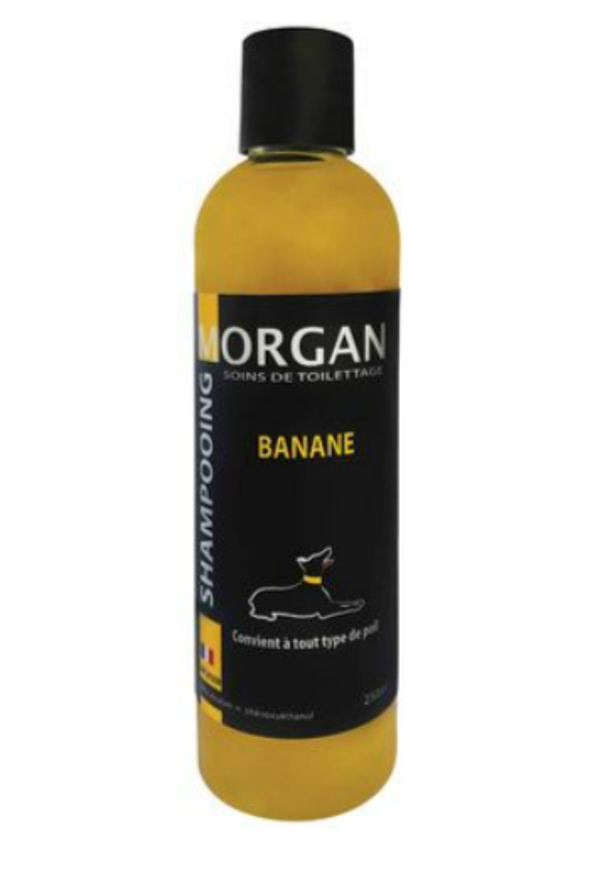 Shampoing Morgan Banane 250 ML