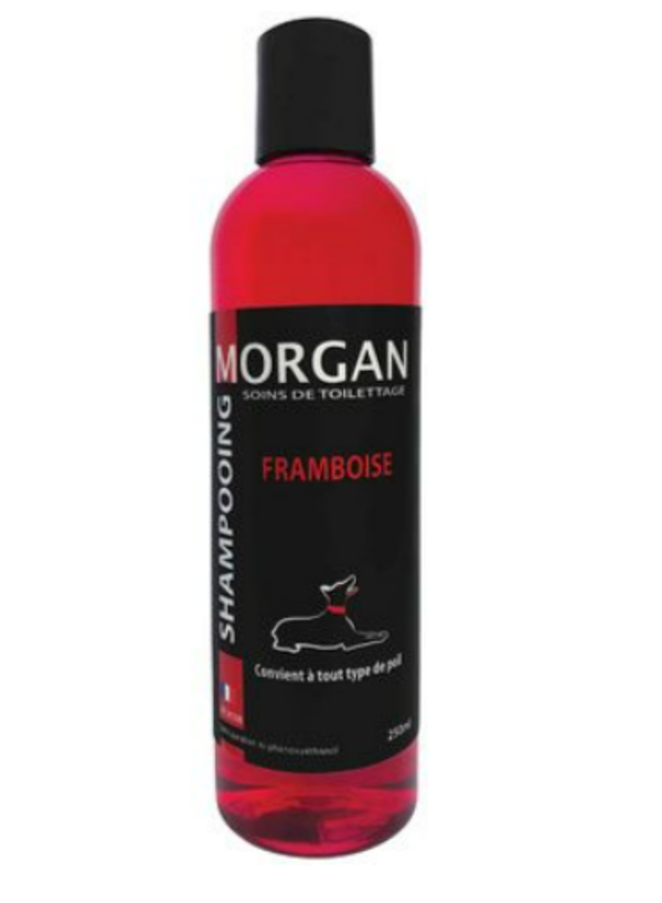 Shampoing Morgan Framboise 250 ML