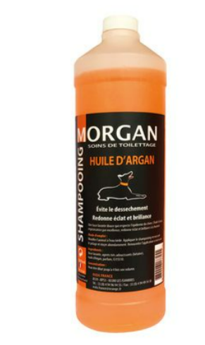 Shampoing Morgan Huile d'Argan 1 L