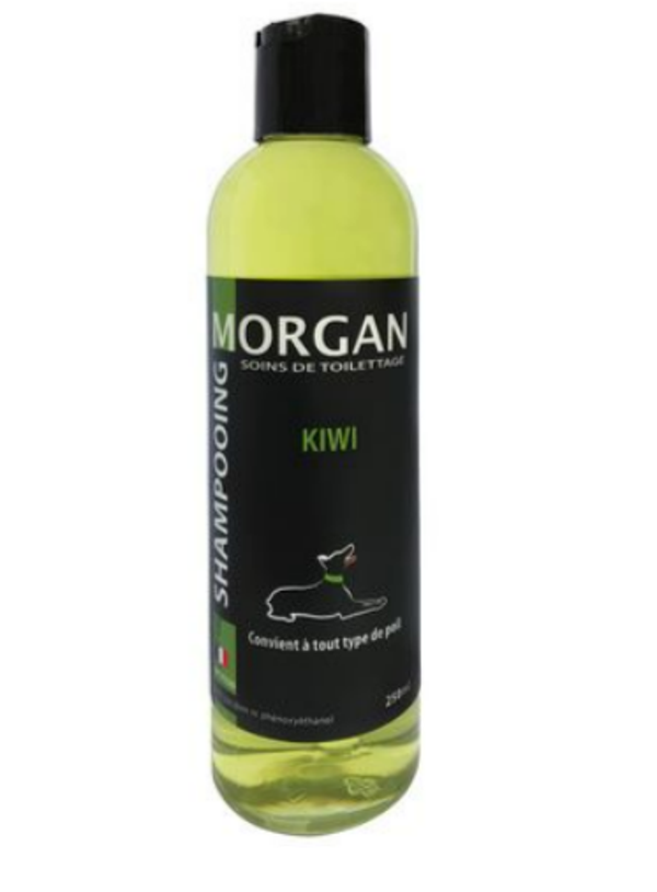 Shampoing Morgan Kiwi 250 ML