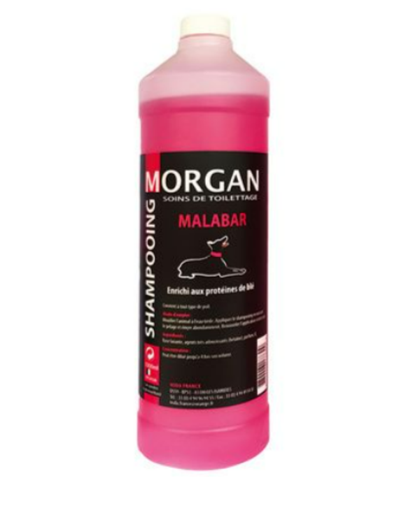 Shampoing Morgan Protéiné senteur Malabar 1L