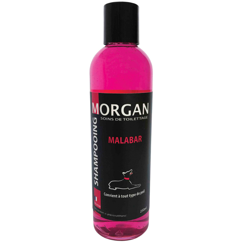 Shampoing Morgan Protéiné senteur Malabar 250 ML