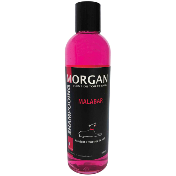 Shampoing Morgan Protéiné senteur Malabar 250 ML
